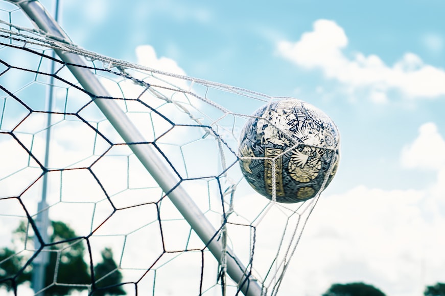 Pelota adentro