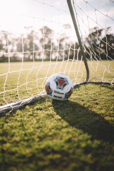 Pelota